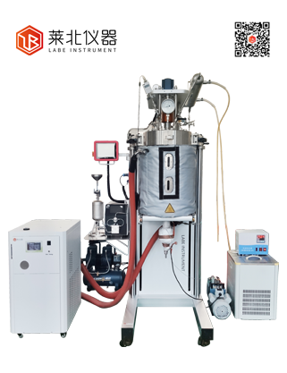 LF-29中試定制系統(tǒng)反應(yīng)釜