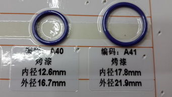 服裝輔料 從塑料調節扣到環保內衣扣，微小部件的無限可能